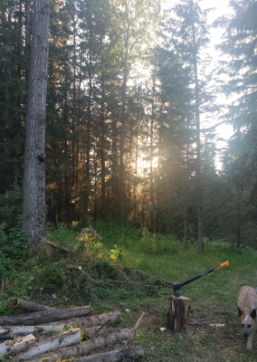 image-2